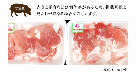 ローズポーク 小間肉 250g × 8P 合計 2kg ( 茨城県共通返礼品 )