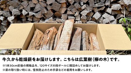 牛久市産 乾燥 薪 欅 ( けやき ) 約14kg～16kg