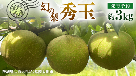 【 先行予約 】茨城県産 『幻の梨』 秀玉 約 3kg 7玉～9玉 ( 茨城県共通返礼品 : 常陸太田市 )  【 2026年 8月下旬頃より発送 】