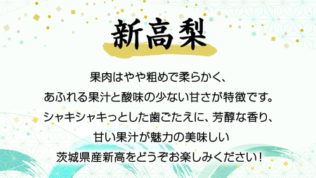 《 先行予約 》 茨城県産 梨 新高 ( 約5kg )【2026年9月中旬頃より発送開始 】