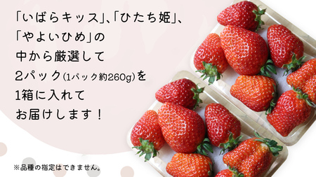【 先行予約 】 【 定期コース 】 厳選 いちご 2パック 【 毎月 第3木曜に全3回発送 初回発送 2026年1月22日 】 ( 茨城県共通返礼品 : 常陸太田市 )