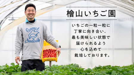 【 先行予約 】 訳あり いちご いばらキッス 800g 《 2026年2月以降発送 》