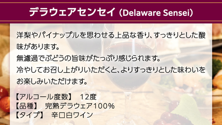 デラウェアセンセイ Delaware Sensei 2024 750ml×1本