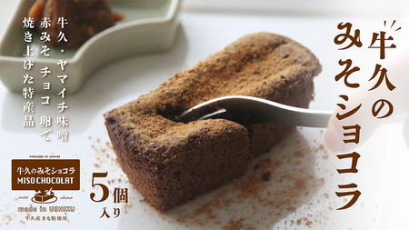 牛久の みそショコラ ( 55g x 5個 )