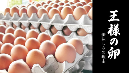 【3ヵ月 連続 定期便】王様の卵 ヨード入 20個 (15個+割れ保障5個 ) 計60個