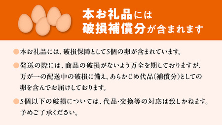 【3ヵ月 連続 定期便】王様の卵 ヨード入 20個 (15個+割れ保障5個 ) 計60個