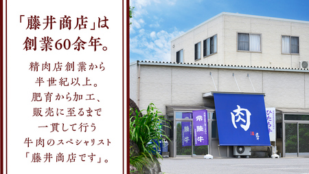 【常陸牛特選A5】ヒレステーキ 250g×2枚 (500g) ( 茨城県共通返礼品 )