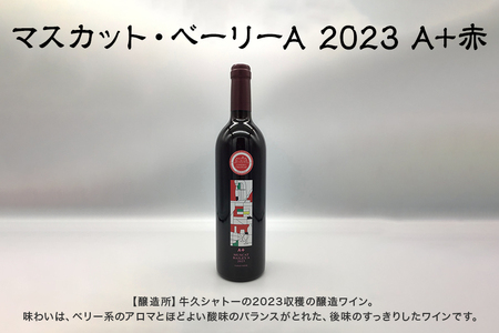 茨城物語 日本遺産 3市 特産 詰め合わせ ( 笠間焼 ・ 梅酒 ・ ワイン )