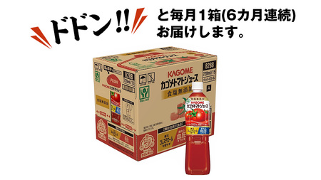 【  6ヶ月 連続 定期便 】 カゴメ トマトジュース 食塩無添加 720ml 15本セット　KAGOME トマト 飲料 野菜ジュース セット リコピン GABA 長期保存 防災 数量限定