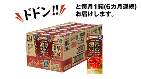 【  6ヶ月 連続 定期便 】 カゴメ 濃厚リコピン 食塩無添加 トマトジュース 195ml × 24本