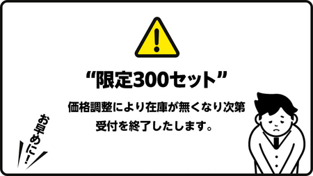 【  6ヶ月 連続 定期便 】 カゴメ 濃厚リコピン 食塩無添加 トマトジュース 195ml × 24本
