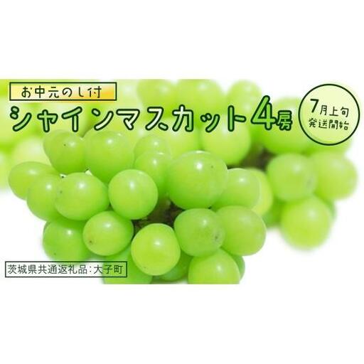 【 お中元 熨斗付き】 シャインマスカット ４房 【2026年7月上旬発送開始】(茨城県共通返礼品：大子町)