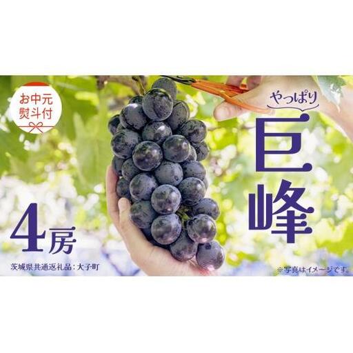 【 お中元 熨斗付き】 巨峰 ４房 【2026年8月上旬発送開始】(茨城県共通返礼品：大子町)