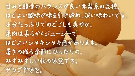 豊水 約5kg (8～14玉)【2026年9月上旬発送開始】(茨城県共通返礼品：大子町)
