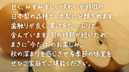 あきづき 約5kg (8～14個)【2026年9月上旬発送開始】(茨城県共通返礼品：大子町)