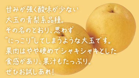 にっこり梨 約5kg (10～12玉)【2026年10月上旬発送開始】(茨城県共通返礼品：大子町)