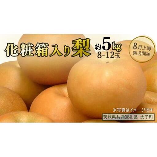 【化粧箱入り】梨 約5kg (8～12玉)【2026年8月上旬発送開始】(茨城県共通返礼品：大子町)
