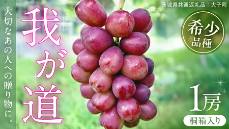 【桐箱入り】 我が道 １房【2026年9月上旬発送開始】(茨城県共通返礼品：大子町)