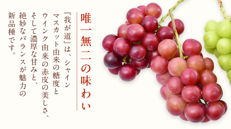我が道 2房【2026年9月上旬発送開始】(茨城県共通返礼品:大子町)