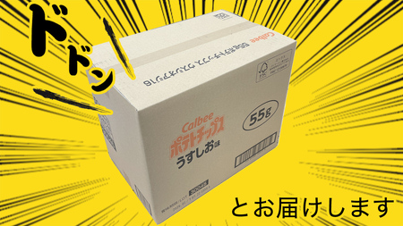カルビー ポテトチップス レギュラー サイズ 2種類 詰め合わせ 16袋( うすしお / コンソメ )