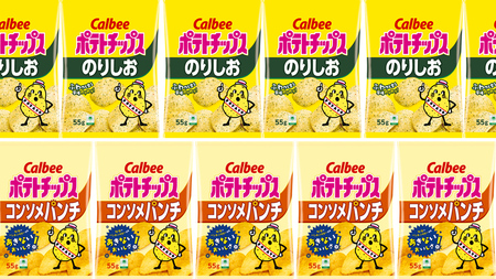 カルビー ポテトチップス レギュラー サイズ　2種類 詰め合わせ 16袋（ コンソメ ／ のりしお ）