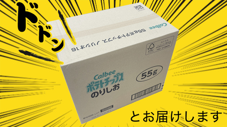 カルビー ポテトチップス レギュラー サイズ　2種類 詰め合わせ 16袋（ コンソメ ／ のりしお ）