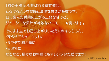 富有柿 約3kg 【2025年10月上旬発送開始】(茨城県共通返礼品：大子町)