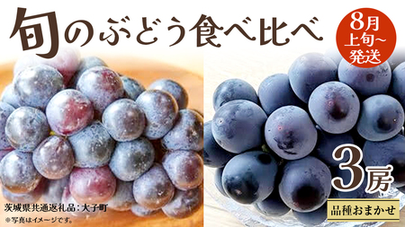 旬な ぶどう 食べ比べ 700g × 3房 【2026年8月上旬発送開始】(茨城県共通返礼品：大子町)