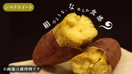 さつまいも 【 シルクスイート ・ 紅はるか 】 5kg ( 箱込 )の 2箱セット さつまいも 詰合せ 国産 農園 野菜 サツマイモ 芋 期間限定 デザート スイーツ おやつ 料理 味噌汁 煮物 生芋