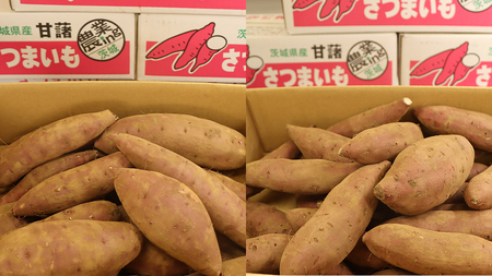 さつまいも 【 シルクスイート ・ 紅はるか 】 5kg ( 箱込 )の 2箱セット さつまいも 詰合せ 国産 農園 野菜 サツマイモ 芋 期間限定 デザート スイーツ おやつ 料理 味噌汁 煮物 生芋