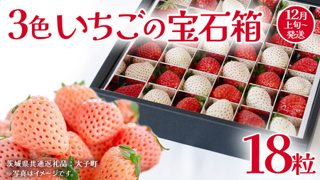3色いちご の宝石箱18粒【2025年12月上旬発送開始】(茨城県共通返礼品：大子町)