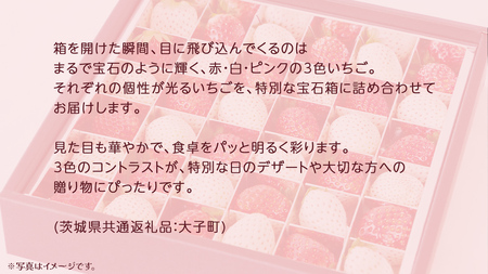 3色いちご の宝石箱36粒【2025年12月上旬発送開始】(茨城県共通返礼品:大子町)