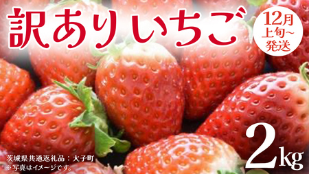 訳あり いちご 2kg【2025年12月上旬発送開始】(茨城県共通返礼品：大子町)