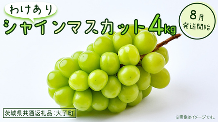 【 訳あり 】 シャインマスカット 4kg 【2026年8月発送開始】(茨城県共通返礼品：大子町)