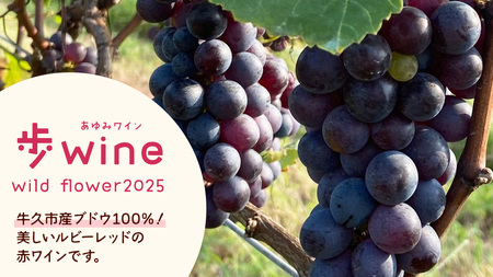歩wine wild flower2025 ( 750ml )