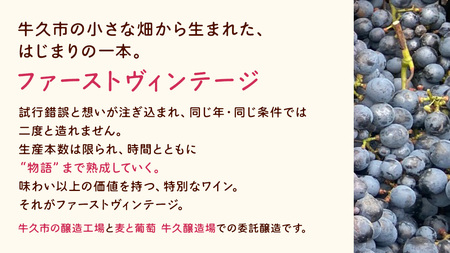 歩wine wild flower2025 ( 750ml )