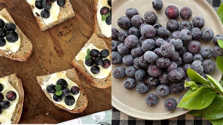 《 先行予約 》 冷凍 ブルーベリー 400g×3袋 【2026年7月上旬頃より発送開始】 冷凍 大粒 フルーツ 果物 くだもの おやつ 無農薬 農薬不使用 お取り寄せ 贈り物 ジャム スムージー