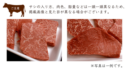 【常陸牛】ももステーキ 500g ( 茨城県共通返礼品 ) 国産 焼肉 焼き肉 バーベキュー BBQ A4ランク A5ランク ブランド牛