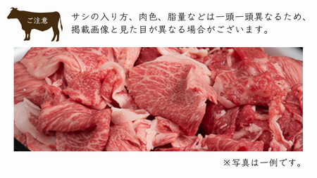 【常陸牛】切り落とし 2kg  ( 茨城県共通返礼品 )  国産 切落し 焼肉 焼き肉 バーベキュー BBQ お肉 A4ランク A5ランク ブランド牛