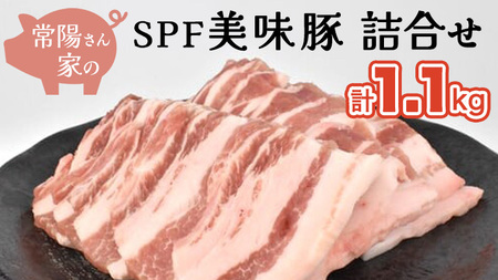 常陽さん家の SPF 美味豚 詰合せ 計 1.1kg 食べ比べ セット
