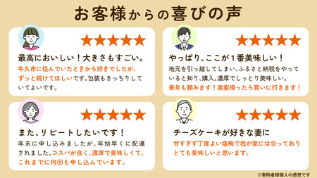 濃厚 ! ベイクドチーズケーキ ( 冷蔵 )