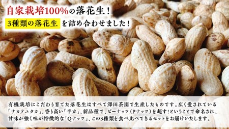 牛久市産 落花生 3種食べ比べ3袋セット Qナッツ Qなっつ 半立 はんだち ナカテユタカ 中手豊 ピーナッツ ピーナツ 食べ比べ おやつ おつまみ お菓子 お取り寄せ 詰め合わせ お土産 贈り物 ギフト プチギフト 国産 茨城 特産品 農園 自家栽培 ビールのお供