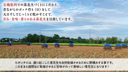 牛久市産 落花生 3種食べ比べ3袋セット Qナッツ Qなっつ 半立 はんだち ナカテユタカ 中手豊 ピーナッツ ピーナツ 食べ比べ おやつ おつまみ お菓子 お取り寄せ 詰め合わせ お土産 贈り物 ギフト プチギフト 国産 茨城 特産品 農園 自家栽培 ビールのお供