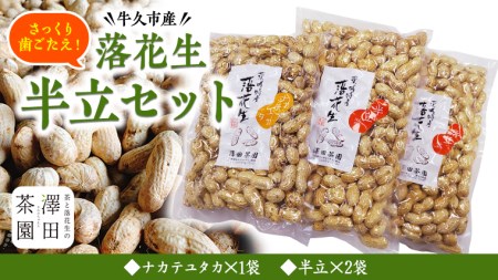 牛久市産 落花生 半立セット ピーナッツ ピーナツ ナカテユタカ 中手豊 半立 はんだち 食べ比べ 農園 自家栽培 有機栽培 おやつ お菓子 おつまみ お取り寄せ 詰め合わせ セット お土産 贈り物 ギフト プチギフト 国産 茨城 特産品 ビールのお供