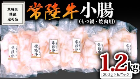 【常陸牛】もつ鍋 焼肉用小腸1.2kg 肉 国産 ホルモン