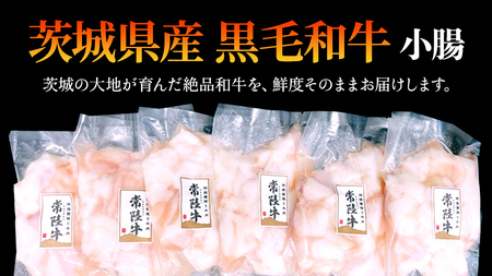 【茨城県産】 黒毛和牛 もつ鍋 焼肉用 小腸 1.2kg(200g×6パック) (茨城県共通返礼品)