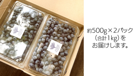 《 先行予約 》完熟 新鮮ブルーベリー 約1kg 【2026年6月上旬頃より発送開始】＜ 産地直送 ＞ ベリー 1kg 1キロ 甘い 甘酸っぱい 冷凍 大粒 おいしい 美味しい フルーツ 果物 くだもの おやつ 無農薬 農薬不使用 お取り寄せ お土産 贈り物 贈答 ギフト 国産 茨城 農園