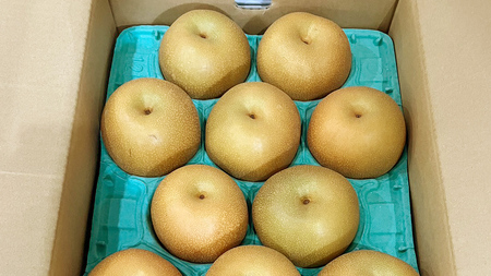 【 2026年8月下旬発送開始 】 茨城県産 梨 豊水 （約 5kg ） 10～14玉