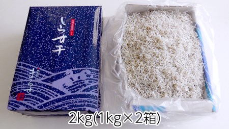 大津港水揚げ しらす干し 2kg ( 1kg × 2箱 ) （茨城県共通返礼品：北茨城市）