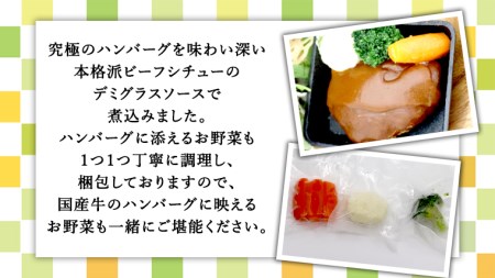 国産牛使用 こだわり 冷凍 ハンバーグ 6個 セット 牛肉 洋食 究極 本格 ビーフシチュー デミグラス レンジ可 惣菜 簡単 時短